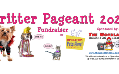 Critter Pageant 2020!